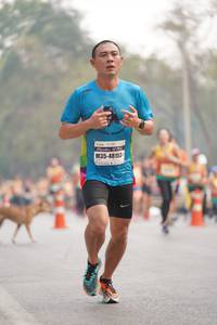 BIB: 48153
                            <button type="button" onclick="openModal(8323528)" class="btn btn-primary btn-sm float-right btn-popup" data-toggle="modal" data-target=".modal-high-quality">
                        <i class="fas fa-shopping-cart"></i> Add to Cart
                    </button>
                                            <button type="button" onclick="isThisMe(8323528, true)" class="btn btn-success btn-sm float-right btn-popup btn-isme hidden" data-toggle="tooltip" data-placement="bottom" title="นี่คือรูปของคุณใช่ไหม คลิกที่นี่เพื่อเอาเข้าอัลบั้ม">
                        <i class="fas fa-plus"></i> Add to album
                    </button>
                    <button type="button" onclick="isThisMe(8323528, false)" class="btn btn-warning btn-sm float-right btn-popup btn-isnotme hidden">
                        <i class="fas fa-ban"></i> Remove from album
                    </button>
